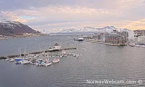 Vervet project in Tromsø
